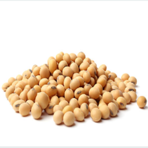 Soybean whole