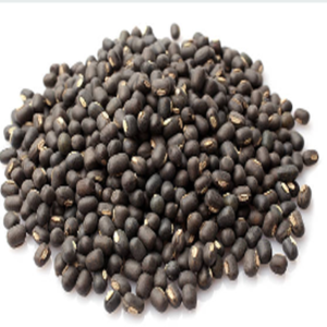 Urad